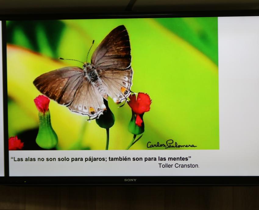 Vuelve la Colección Biológica Itinerante a la explanada de Rectoría General