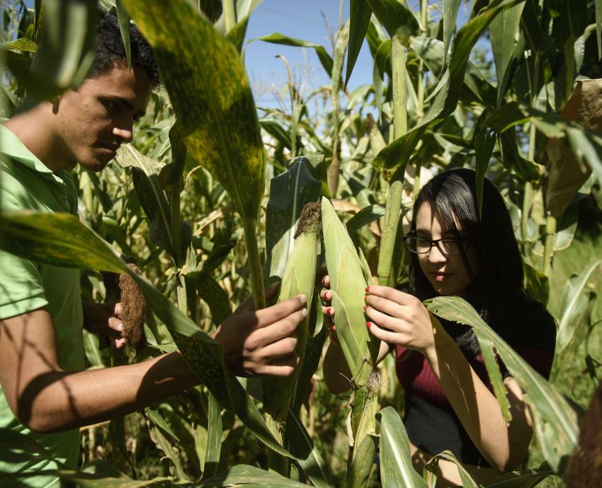 Celebra UdeG 60 años de impulsar la educación agrícola en Jalisco