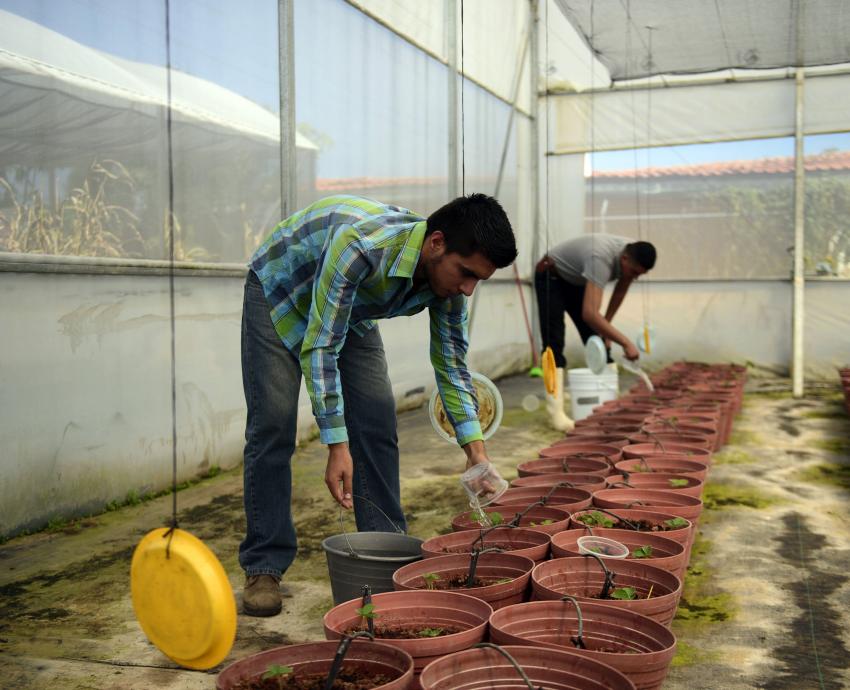 Celebra UdeG 60 años de impulsar la educación agrícola en Jalisco