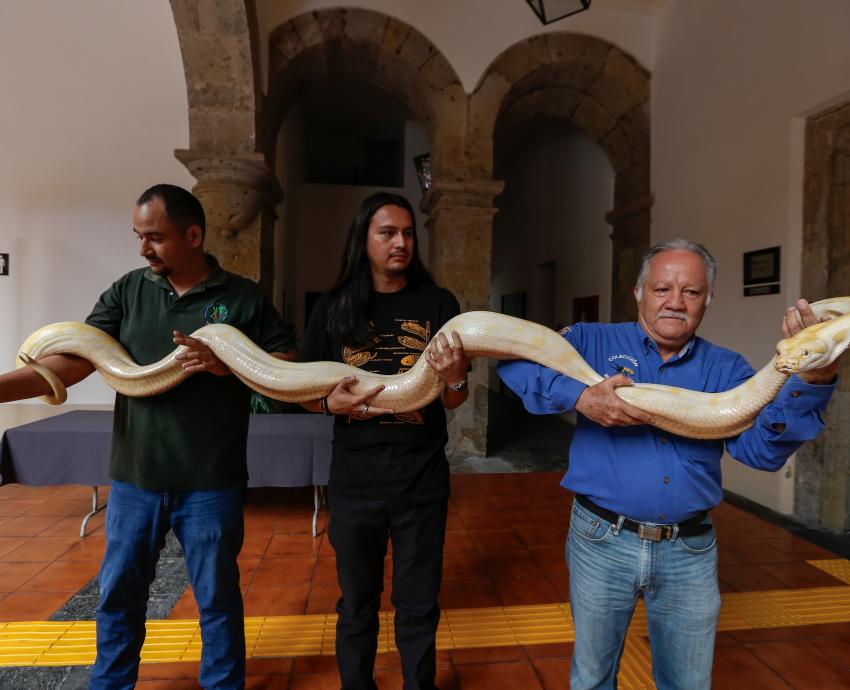 Visita Colección Biológica Itinerante del CUCSur el Congreso de Jalisco