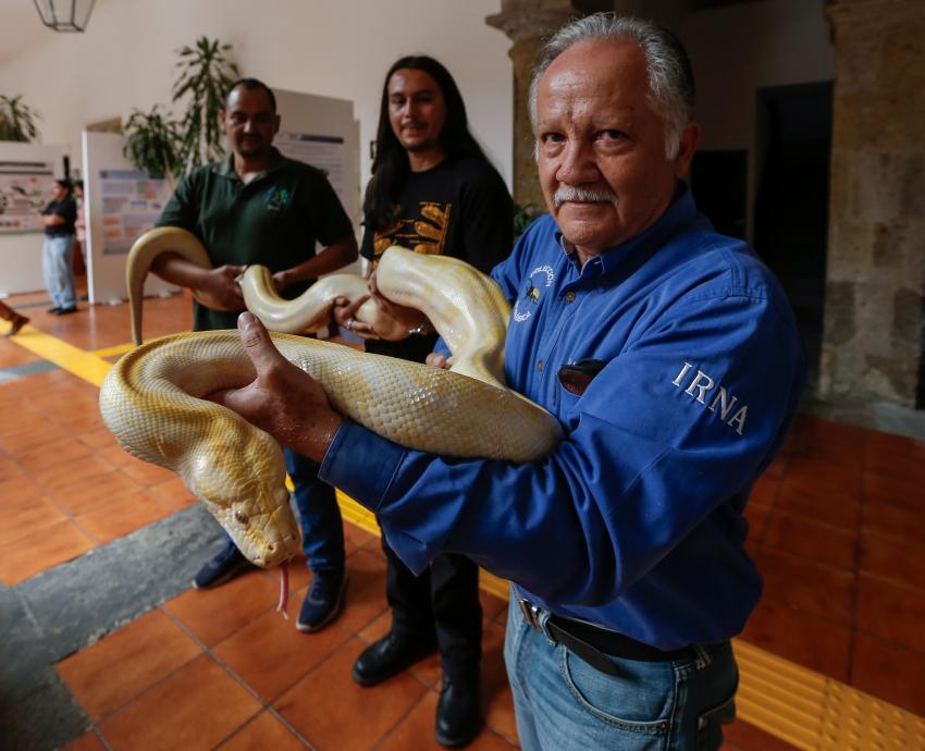 Visita Colección Biológica Itinerante del CUCSur el Congreso de Jalisco