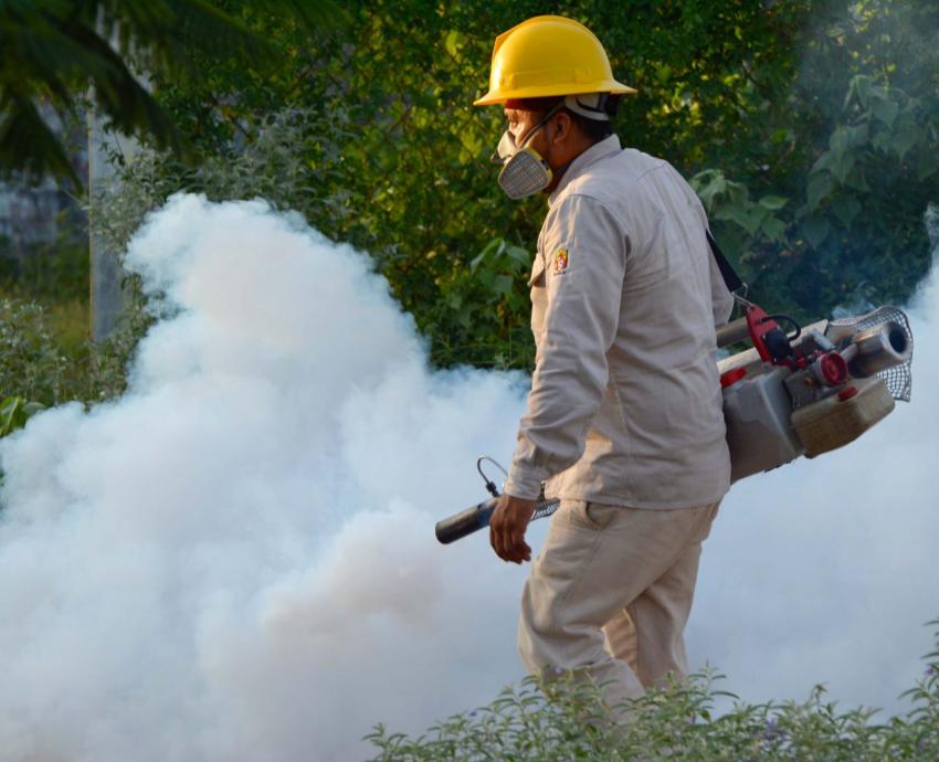 Repunte de dengue a causa de factores cíclicos
