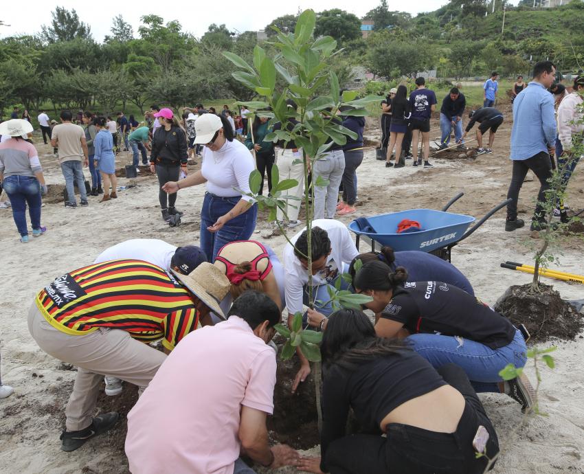 Inician jornadas de reforestación en CUTlaquepaque