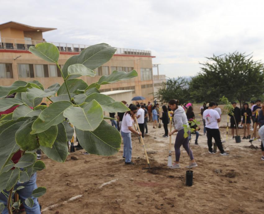 Inician jornadas de reforestación en CUTlaquepaque