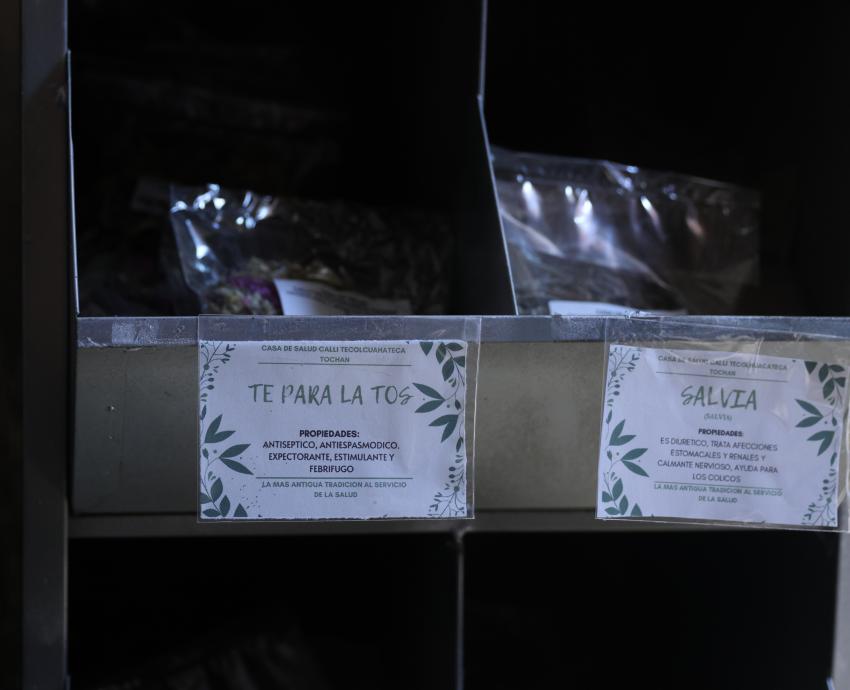 Conmemoran UdeG y mujeres indígenas el Día Internacional de la Medicina Tradicional 