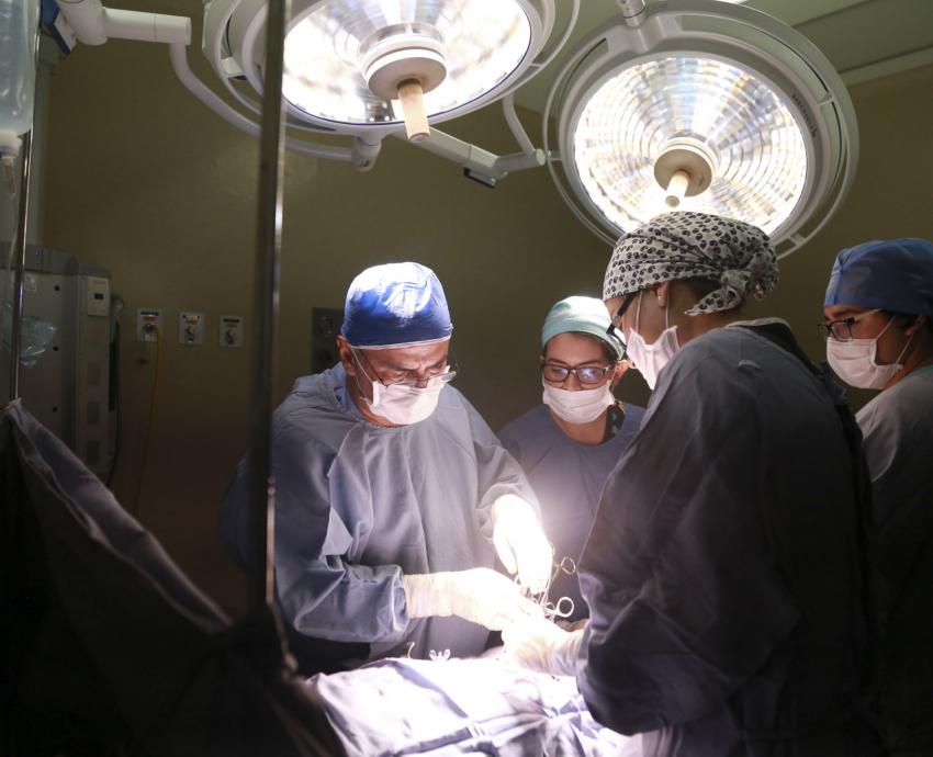 Donar para trascender: la importancia de la donación de órganos para salvar vidas