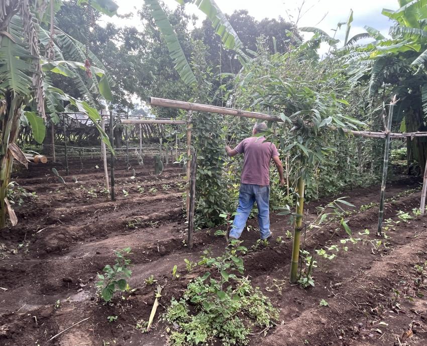 Instalan parcelas agroecológicas en comunidades del Sur de Jalisco