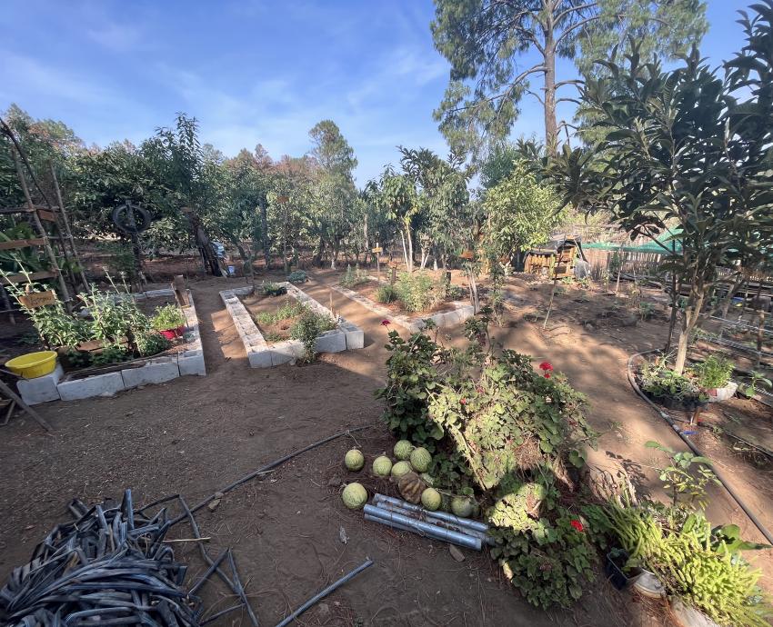 Instalan parcelas agroecológicas en comunidades del Sur de Jalisco