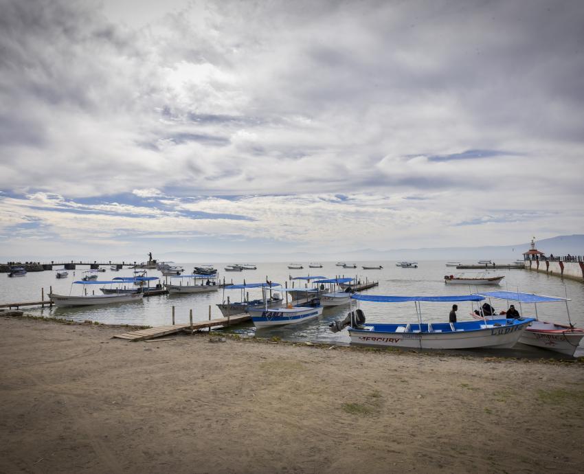 Sobrepoblación de lobina negra pone en riesgo producción de charales en Chapala