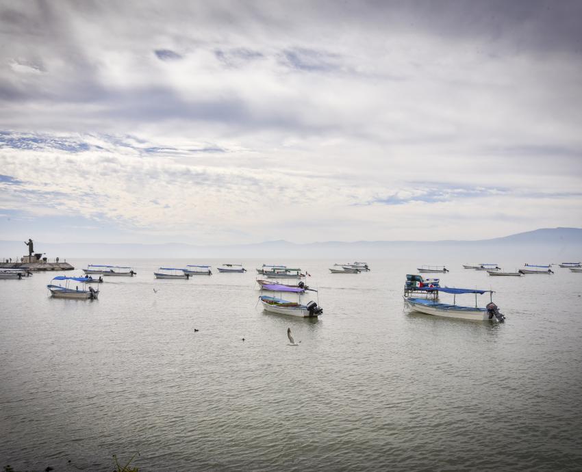 Sobrepoblación de lobina negra pone en riesgo producción de charales en Chapala