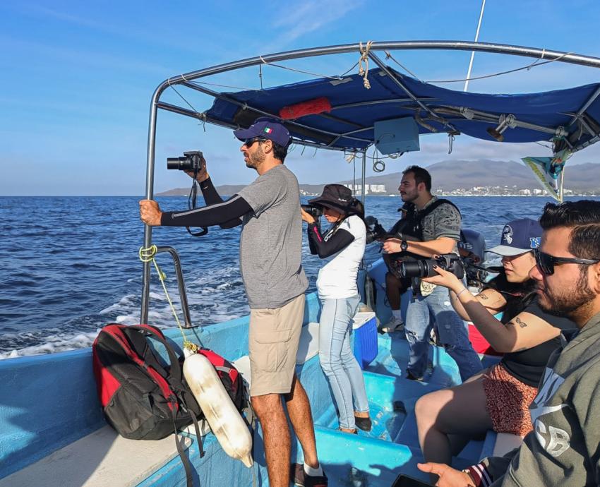 Buscan garantizar protección de la ballena en Bahía de Banderas, ante las 200 embarcaciones turísticas que llegan