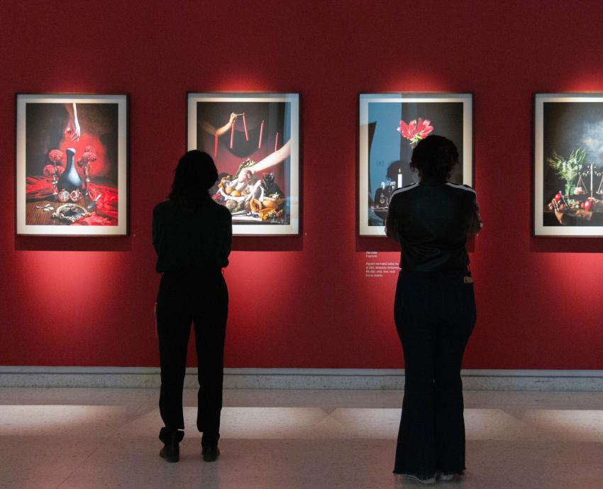 Supera MUSA récord de visitantes por segundo año consecutivo