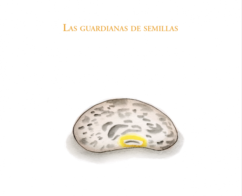 Presentan “El huerto de Aimara”, que cuenta historias agroecológicas para concientizar a la niñez