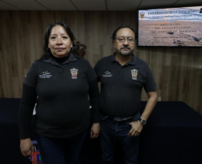 Campamento tortuguero de CUCSur incuba diariamente más de dos mil tortugas 