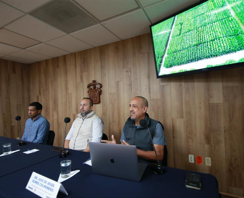Desarrolla CUAltos forraje sustentable para mayor producción lechera en la región