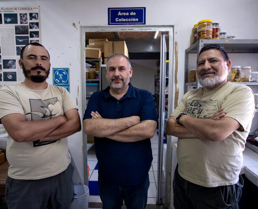 Biólogos del CUCBA descubren fósiles de insectos y arácnidos en Sierra de Tesistán