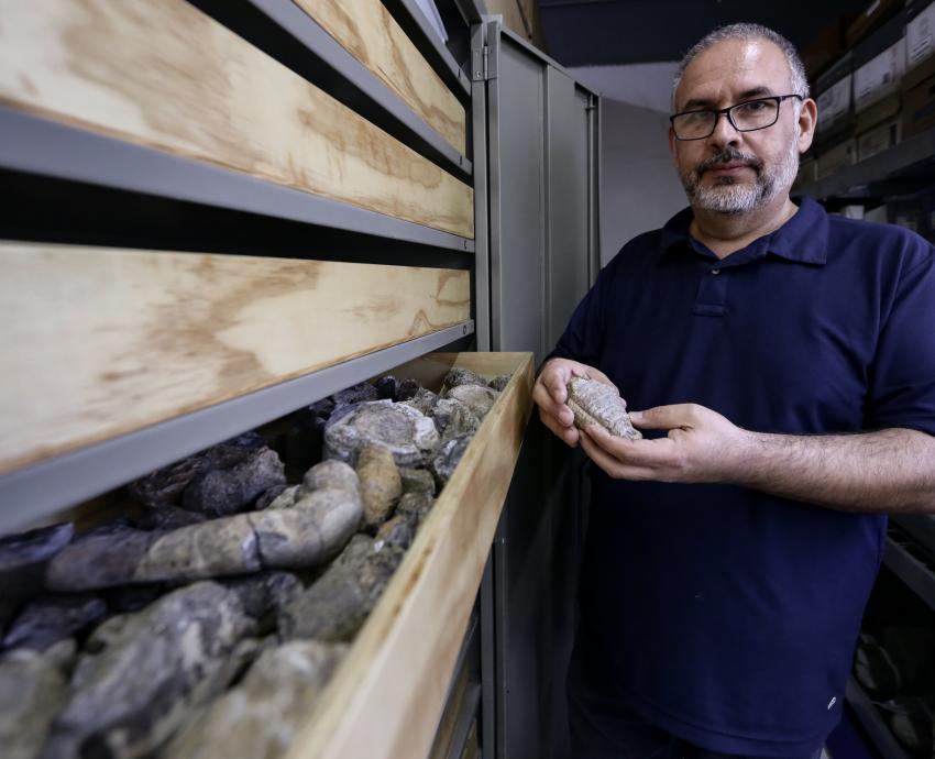 Biólogos del CUCBA descubren fósiles de insectos y arácnidos en Sierra de Tesistán