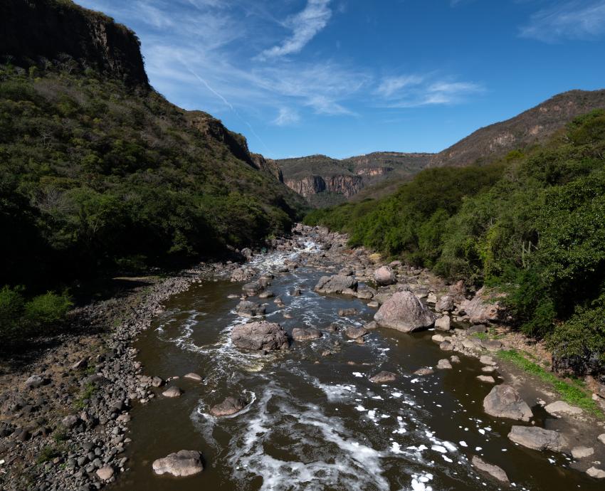 Oferta CUAAD diplomado que abordará contaminación del Río Santiago y la urbanización 