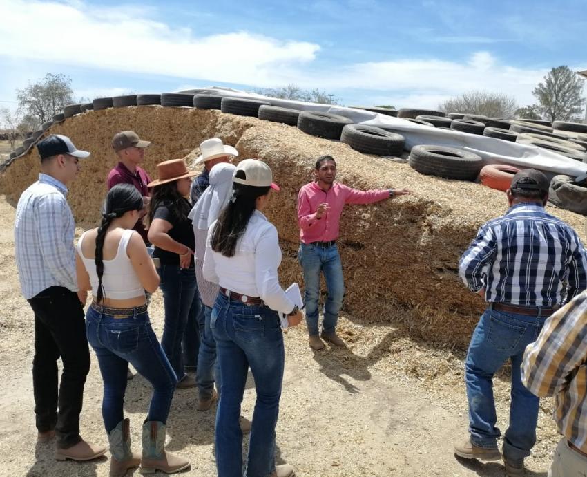 Analiza CUAltos rendimiento de forrajes para impulsar producción ganadera en la región