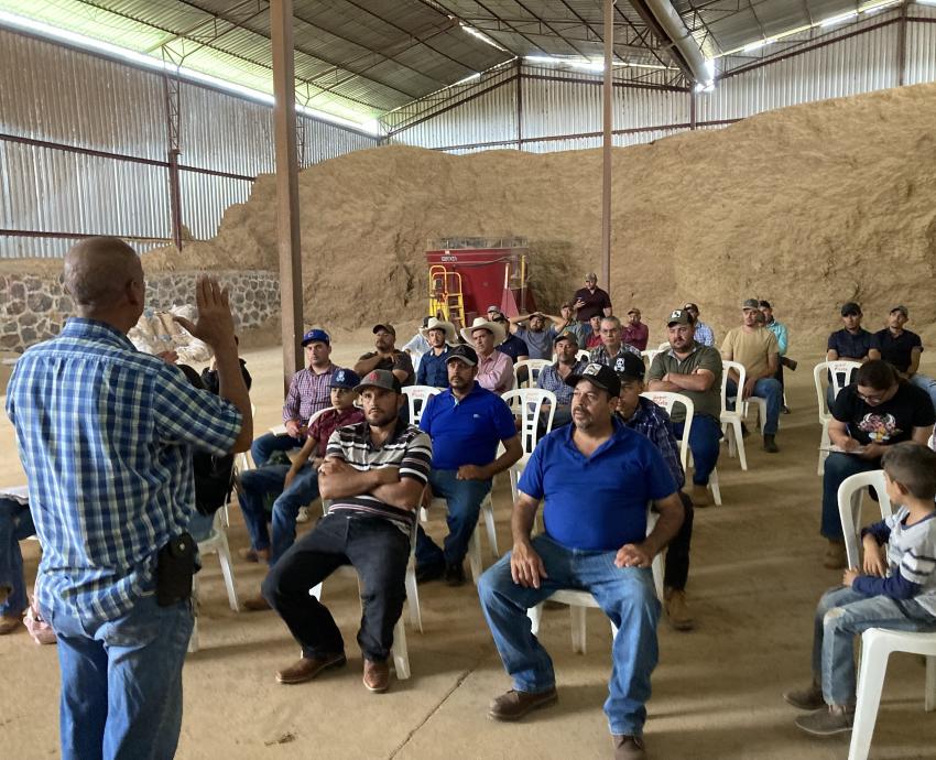 Analiza CUAltos rendimiento de forrajes para impulsar producción ganadera en la región