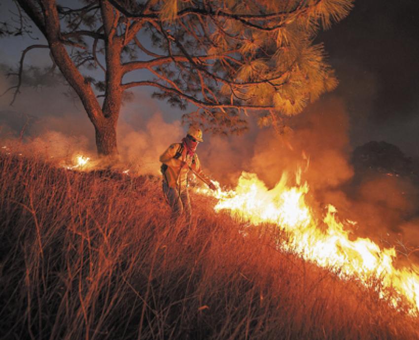 Jalisco, en “permanente peligro” ante incendios forestales