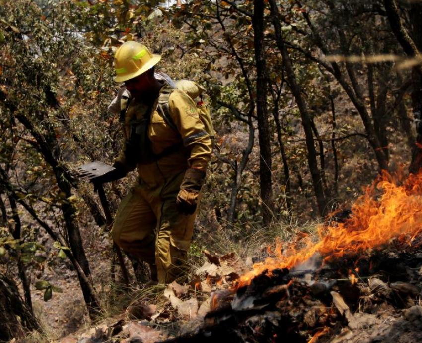 Estas vacaciones, brigadistas de la UdeG se sumarán a operativos de vigilancia contra incendios en La Primavera