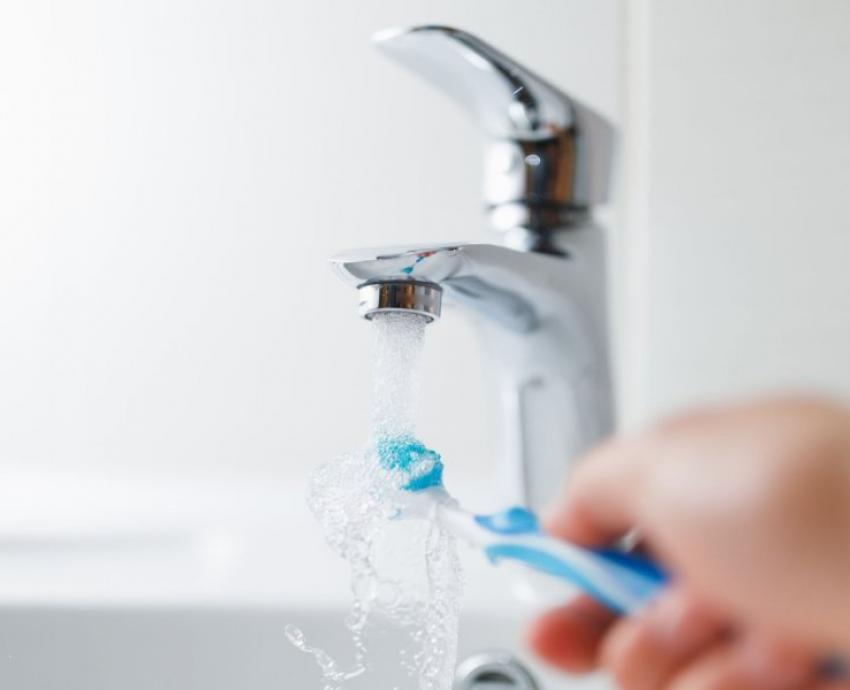 Cepillos de dientes, caldo de cultivo para bacterias y hongos