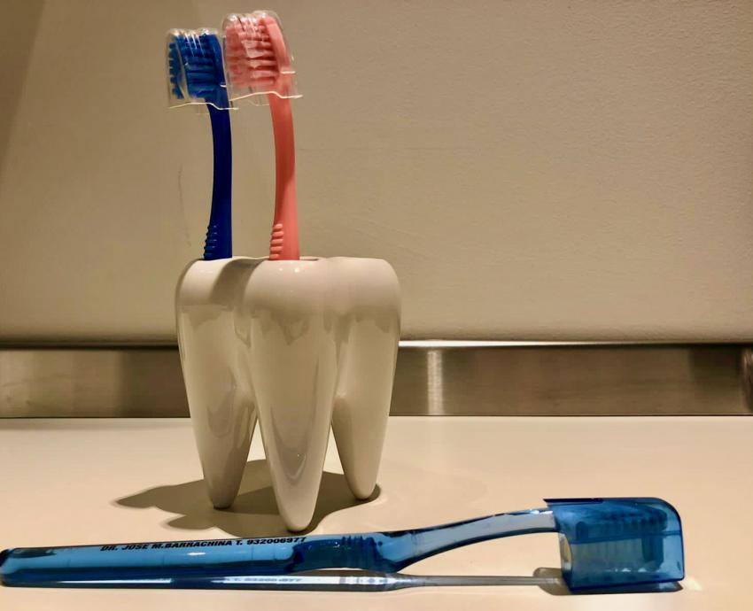 Cepillos de dientes, caldo de cultivo para bacterias y hongos