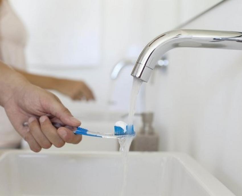 Cepillos de dientes, caldo de cultivo para bacterias y hongos