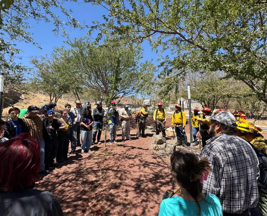 UdeG, Conafor y Semadet impulsan restauración del Cerro del Cuatro