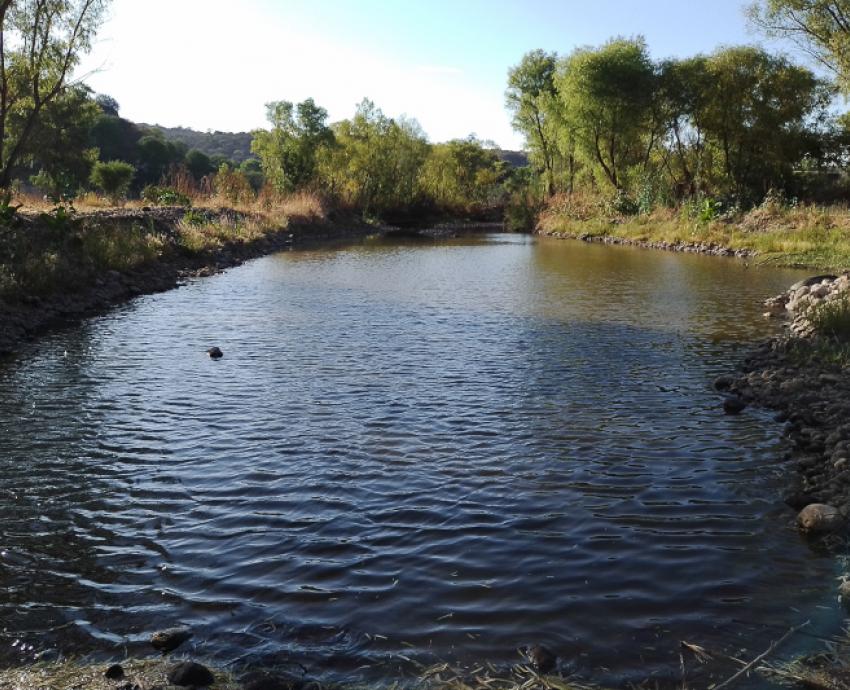 Acaparan 17 empresas concesiones de agua subterránea en Altos Norte