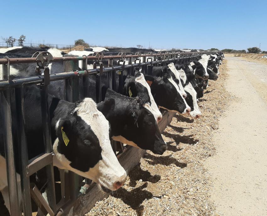 Acaparan 17 empresas concesiones de agua subterránea en Altos Norte