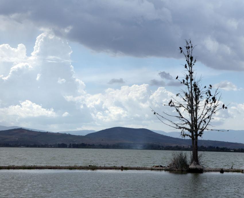 Suma CUSur más de dos décadas de investigación y protección del lago de Zapotlán