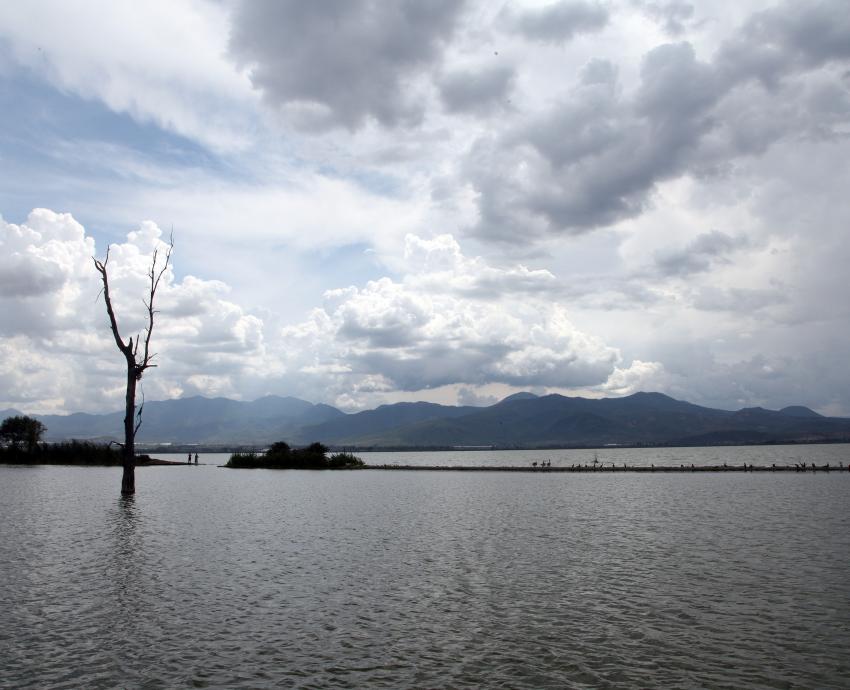 Suma CUSur más de dos décadas de investigación y protección del lago de Zapotlán