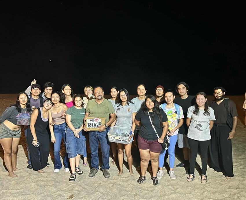 Celebra 40 años Programa de conservación de tortugas marinas del CUCSur