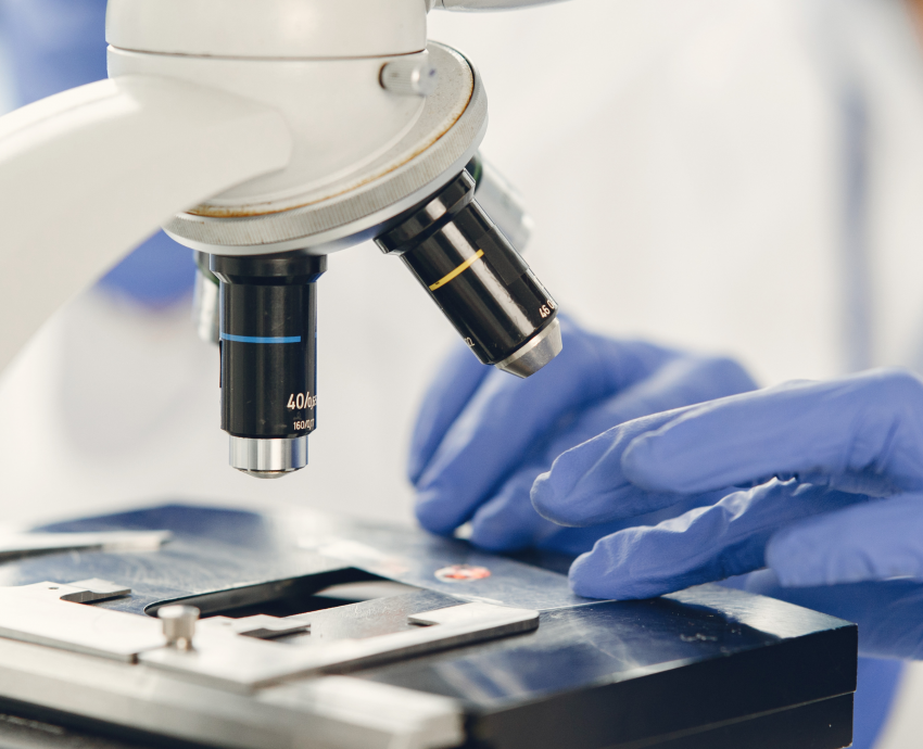 Investigación de la UdeG propone uso innovador de la terfenadina para combatir enfermedades parasitarias intestinales