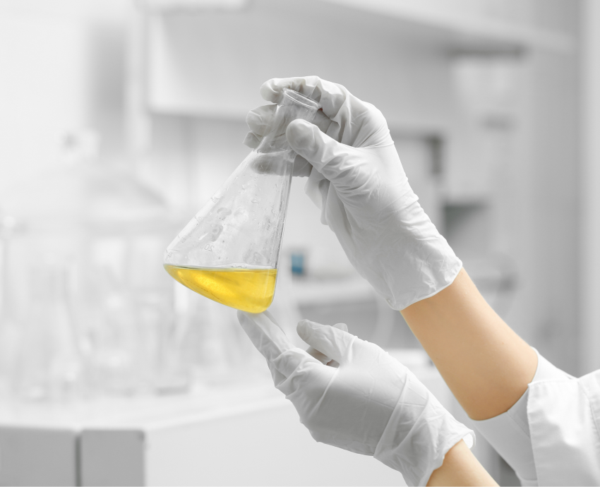 Investigación de la UdeG propone uso innovador de la terfenadina para combatir enfermedades parasitarias intestinales