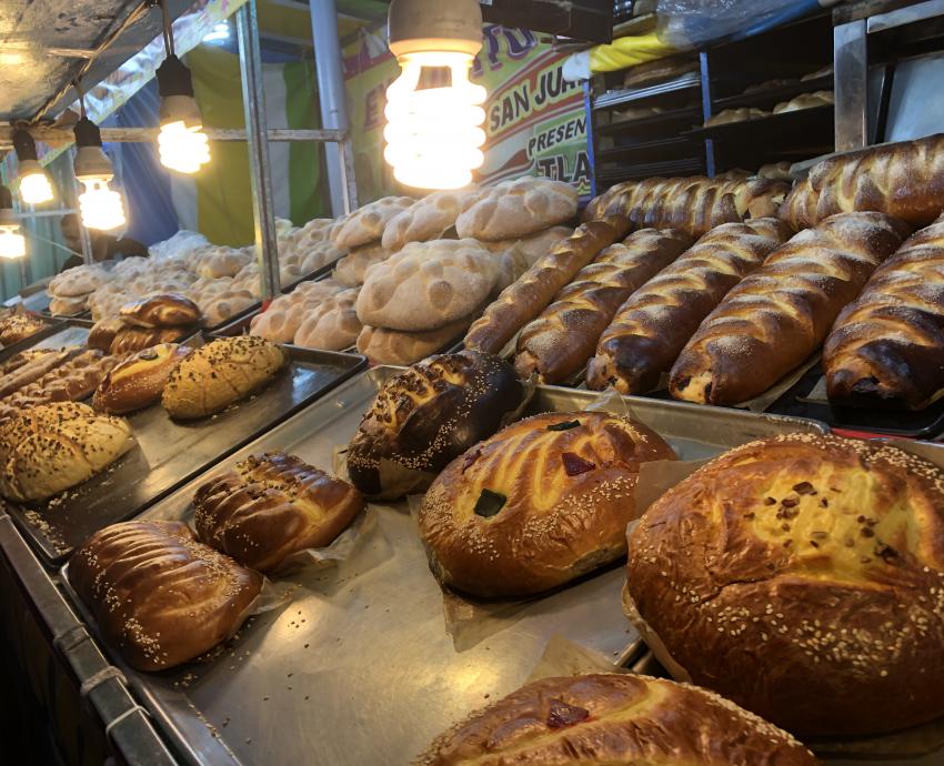 Egresada del CUAAD invita a “Patrimonio en ruta” para redescubrir el Día de Muertos