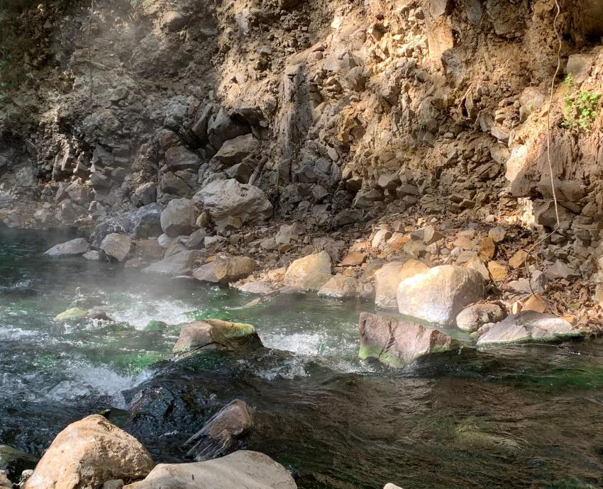 Bosque de La Primavera debe ser parte los Geoparque de la UNESCO, asegura académico de la UNAM