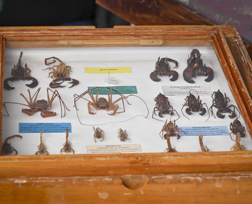 Recibe más de 5 mil visitantes exposición “100 años, Mi historia es natural”