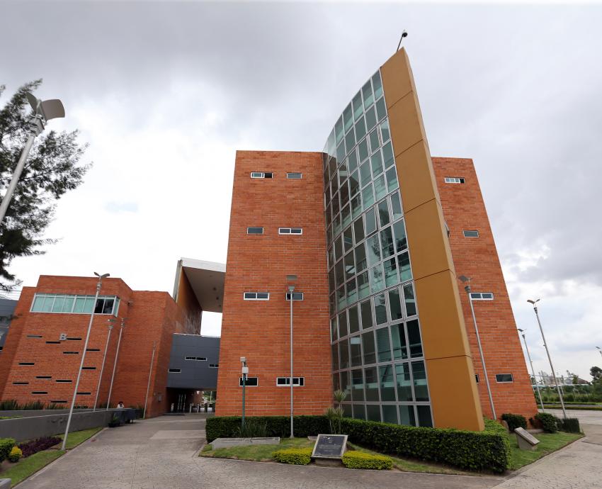 Reconoce la SEP a 10 Cuerpos académicos consolidados de la UdeG por su trayectoria y calidad