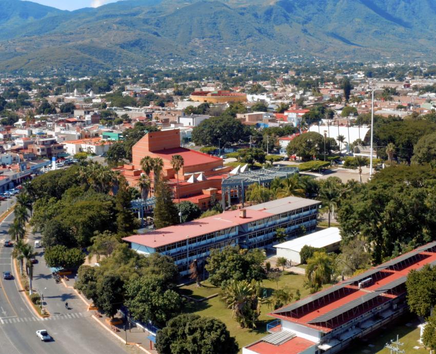 Reconoce la SEP a 10 Cuerpos académicos consolidados de la UdeG por su trayectoria y calidad