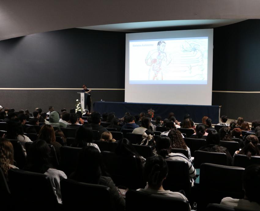 “Tormenta neuroquímica” provoca reacciones en el cerebro durante el enamoramiento