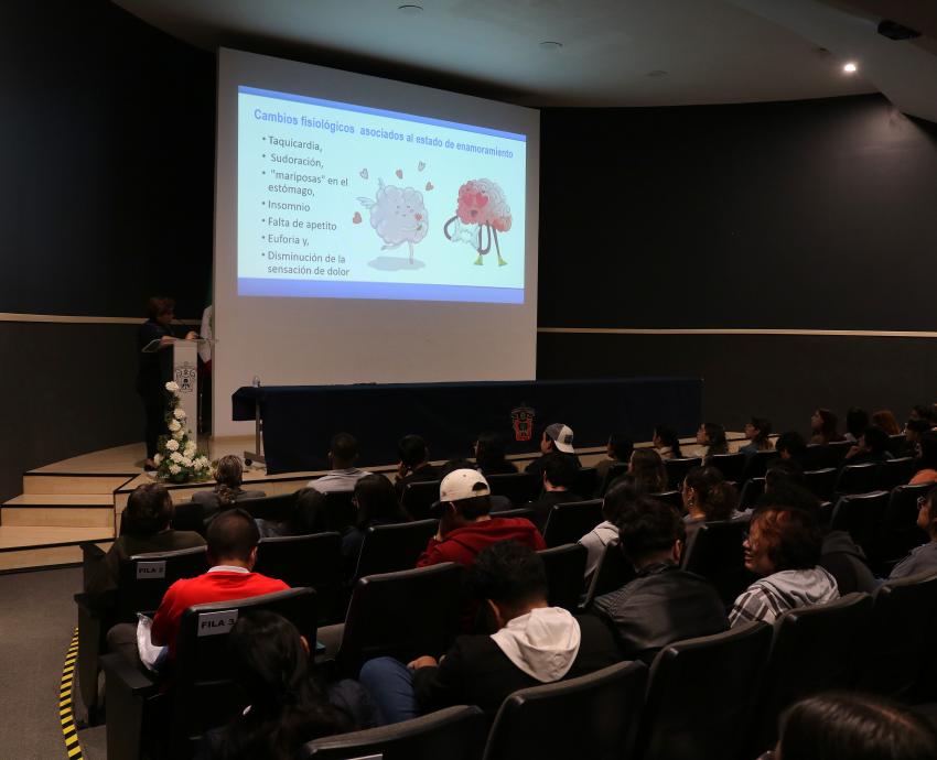 “Tormenta neuroquímica” provoca reacciones en el cerebro durante el enamoramiento