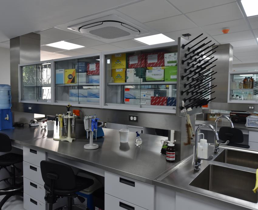 CUCS impulsa posgrados con remodelación de cuatro institutos y un centro de investigación 