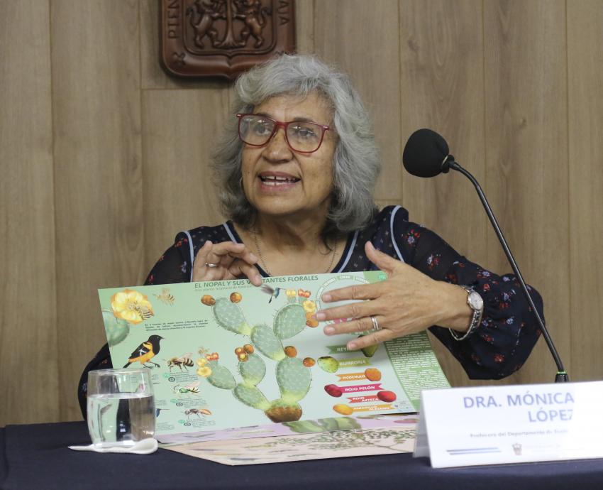 Acercan labor de especies polinizadoras por medio de la ilustración científica