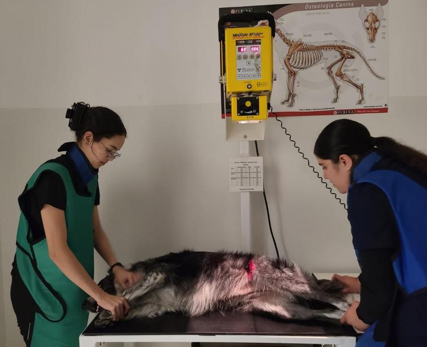 Impacta positivamente al Sur de Jalisco, Hospital Veterinario de Pequeñas y Grandes Especies del CUSur