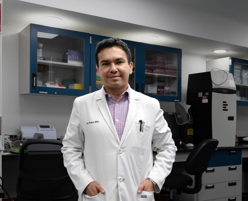 Riesgo de propagación masiva de hantavirus es bajo, aseguran especialistas del HCG