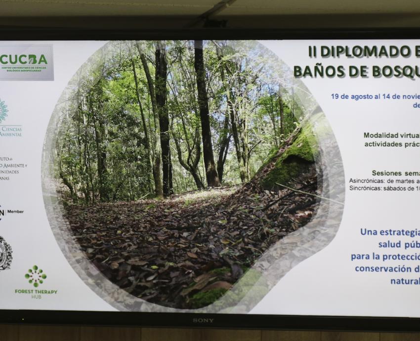 Invitan a segundo diplomado en Baños de bosque, una estrategia de salud pública y conservación ambiental