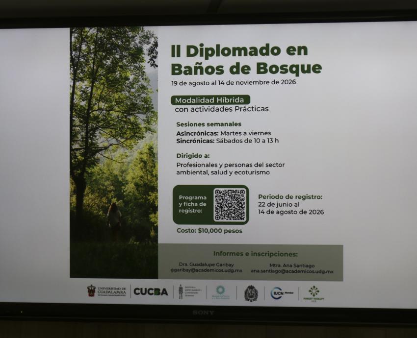 Invitan a segundo diplomado en Baños de bosque, una estrategia de salud pública y conservación ambiental